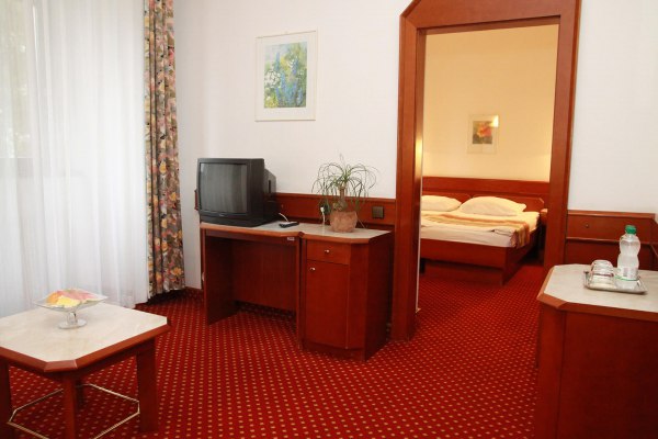 Terme-Dolenjske-Tolice-hotelska-hotel-Vital-hotelska-soba